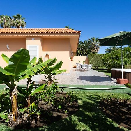 Finca La Gaviota - Los Limoneros イコー・デ・ロス・ビノス エクステリア 写真