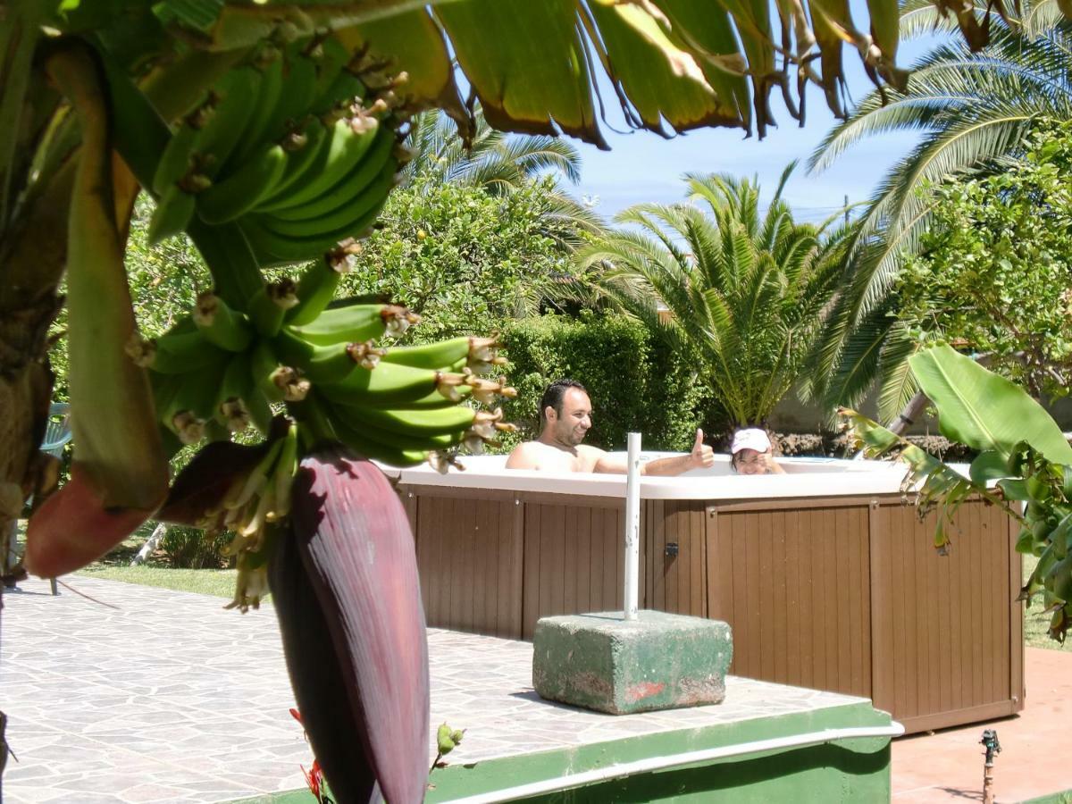 Finca La Gaviota - Los Limoneros イコー・デ・ロス・ビノス エクステリア 写真