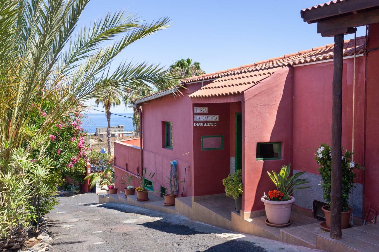 Finca La Gaviota - Los Limoneros イコー・デ・ロス・ビノス エクステリア 写真