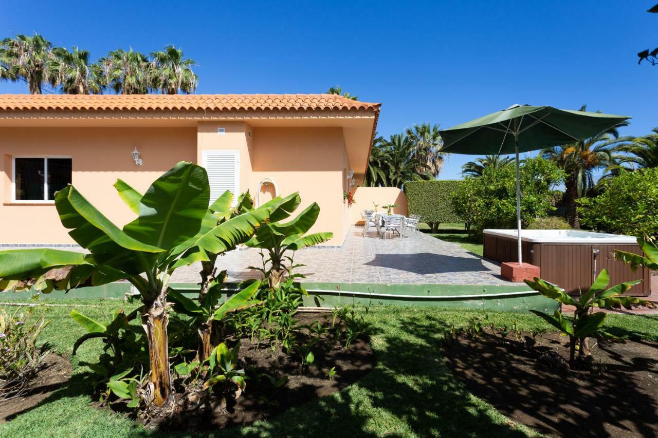 Finca La Gaviota - Los Limoneros イコー・デ・ロス・ビノス エクステリア 写真